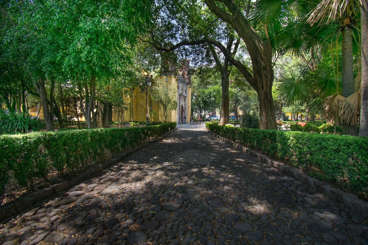 Fl 59 Coyoacan At Your Doorstep! Apartment Ciudad de México Exterior foto