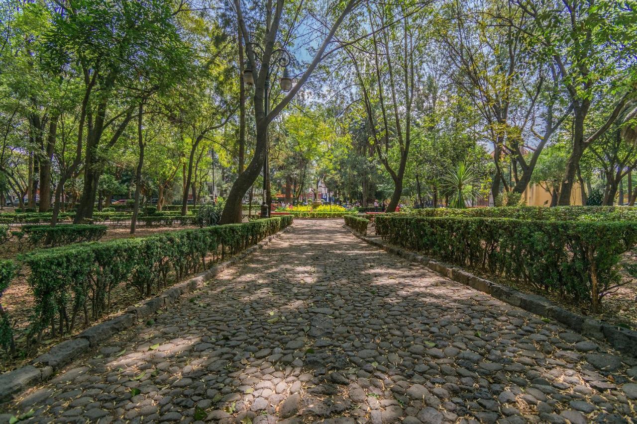 Fl 59 Coyoacan At Your Doorstep! Apartment Ciudad de México Exterior foto